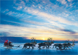 025 017 sunset sleigh ride