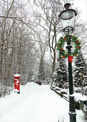 025 032 wintry lane