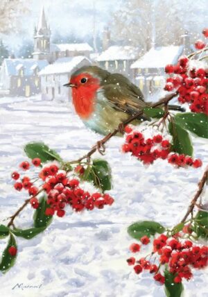 robin on berries