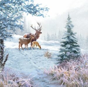 Deer Family
