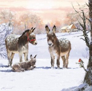 donkeys in snow