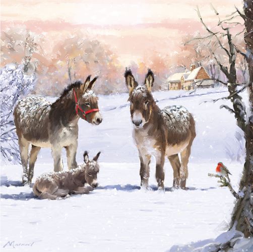 Donkeys in the Snow
