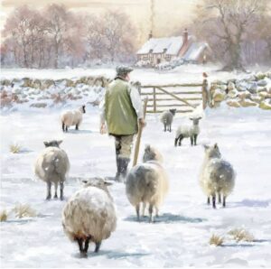 the shepherd