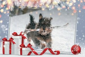 Christmas Presents