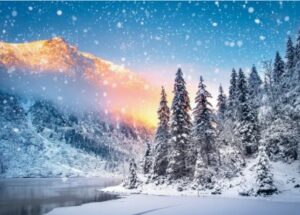 Snowy Forest