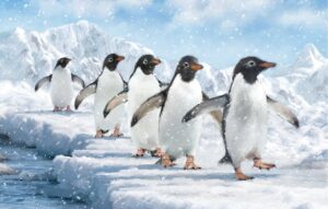 Follow the Leader