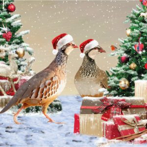 rt24 festive partridges